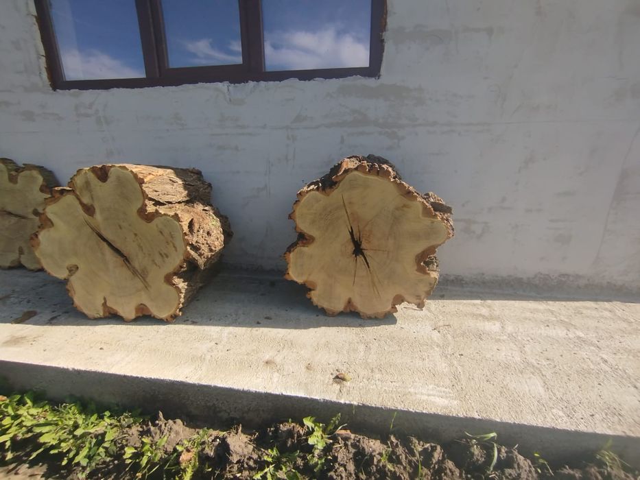 Rondele, felii de lemn din salcâm