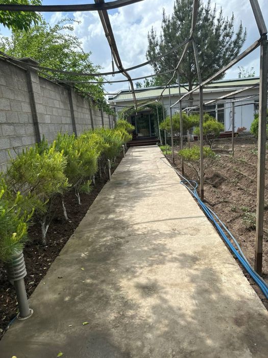 Nazarbekda uchaska tikuv sexi uchun arendaga beriladi