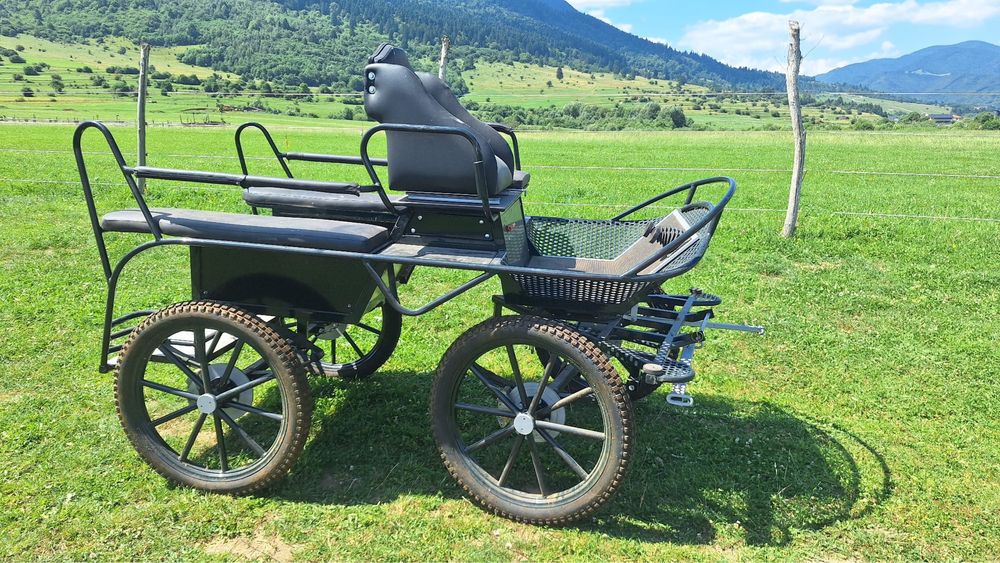 Vand trasurii mai multe modele aduse din germania in stare perfecta de