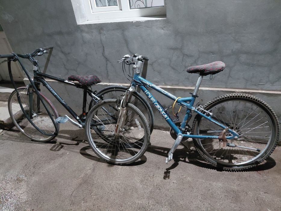 Yaponskiy velik sotiladi