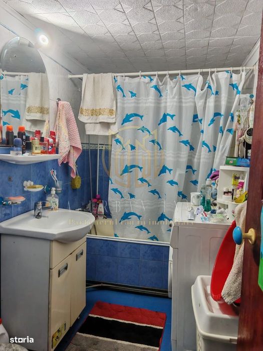Casă individuală Brâncoveanu Alunișului