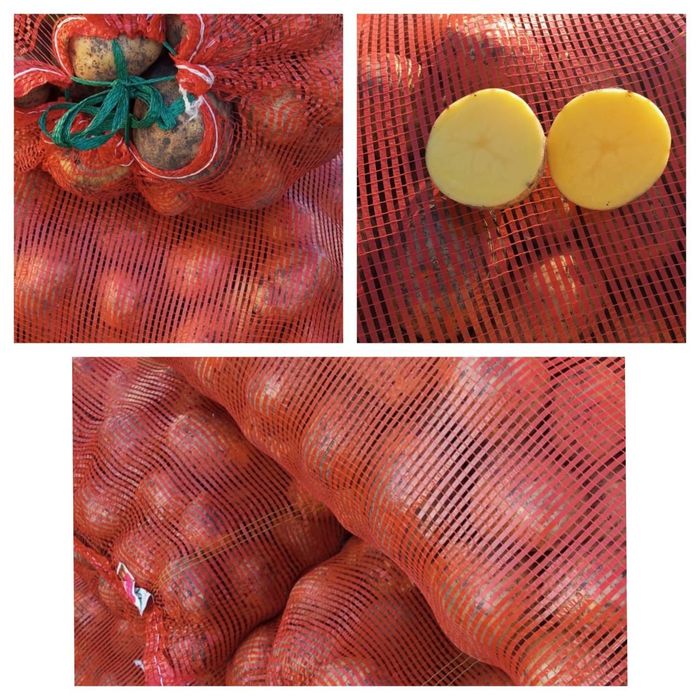 Картофель домашний