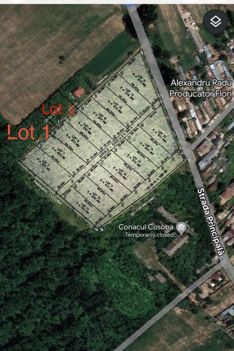 Vand doua Loturi Cosoba