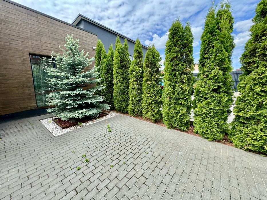 Casa+ Spațiu Comercial Direct de la Proprietar *FĂRĂ COMISION