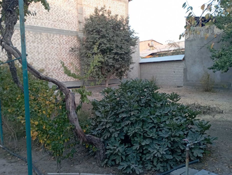 Продается участок 6.2 соток на Амир Темур махалля