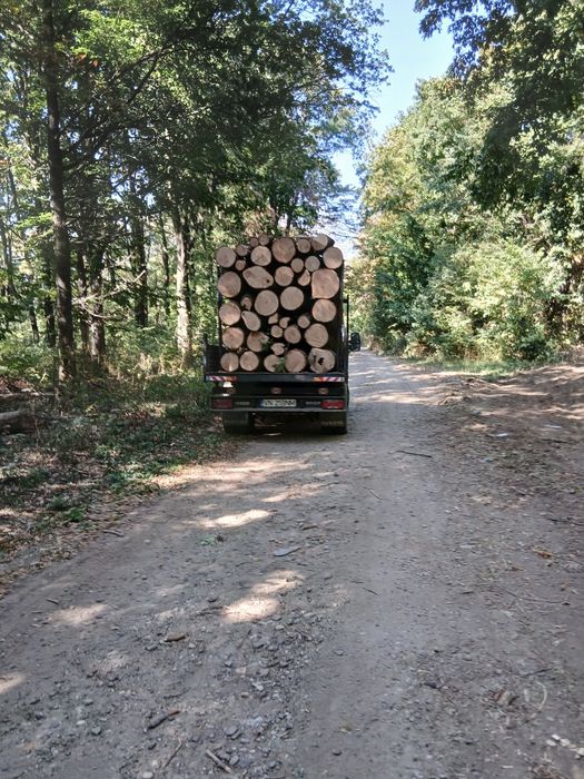 Vând lemn foc salcam și stejar