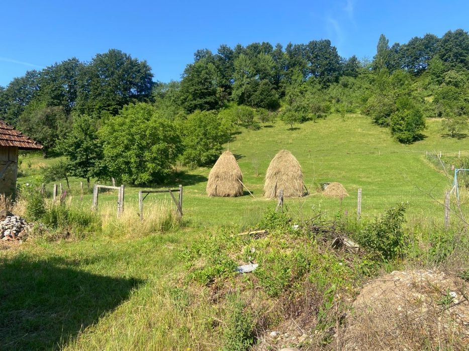 Casa de vanzare (151 mp) cu teren (4991 mp)