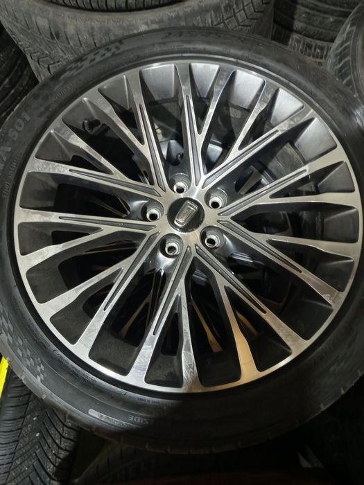 Bestium moshinani arginal diskasi