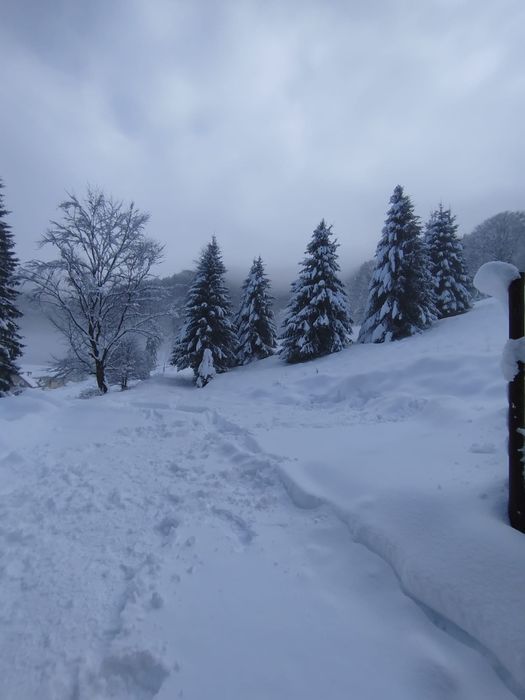 Teren PREMIUM 3000 mp Râușor – lângă pârtia de schi | Investiție turistică de top