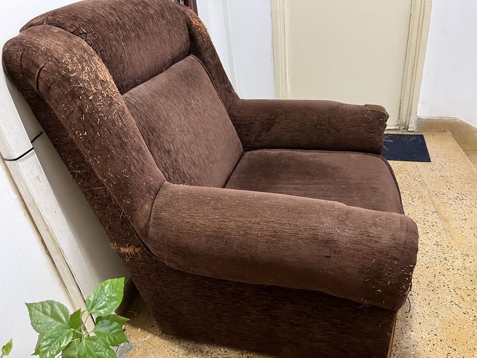 Donez fotoliu extensibil