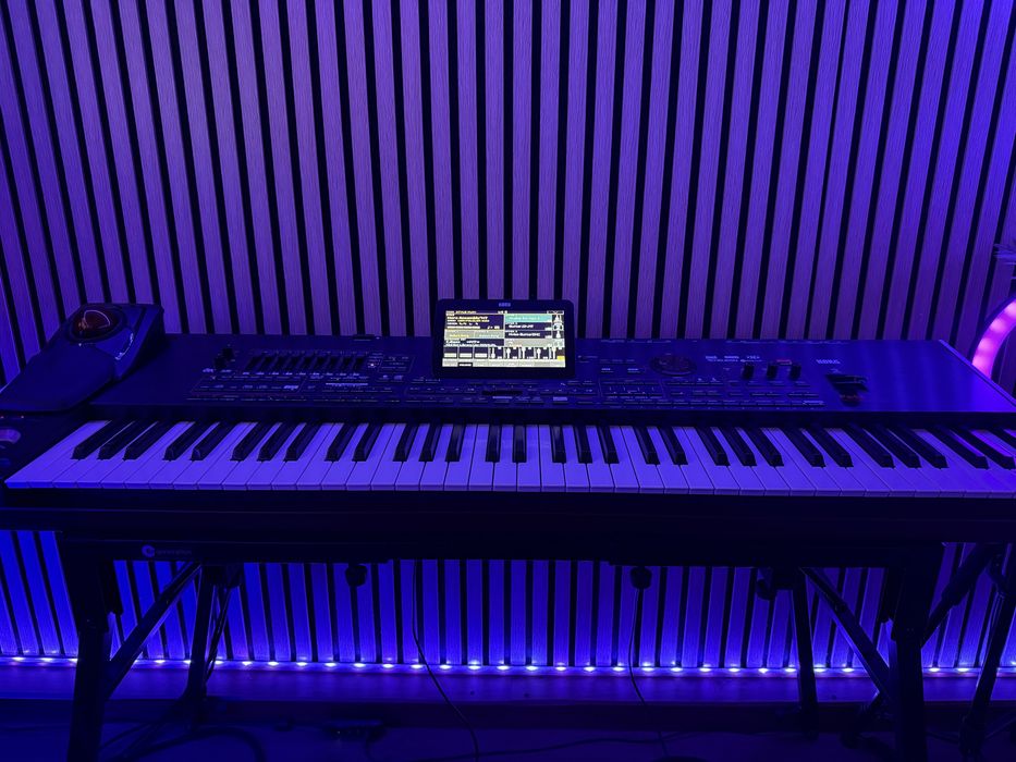 Vand korg Pa4x pro