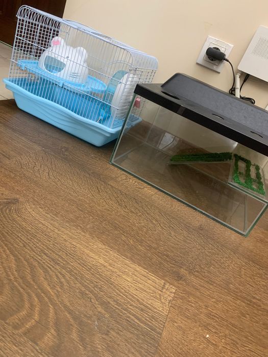 Террариум для мелких животных и клетка