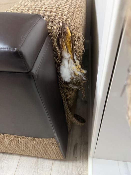 Мягкая мебель - Диван