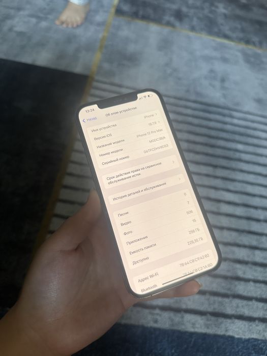 iPhone 12pro max 256GB