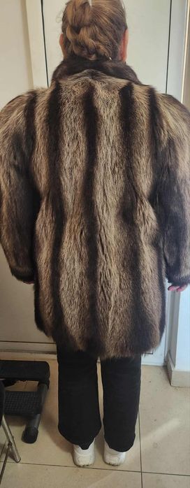 Blana de raton naturala