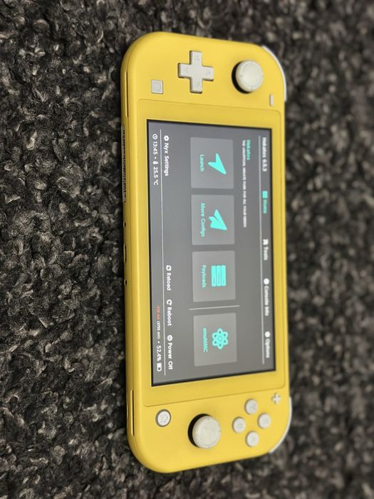 Nintendo Switch Lite, modat PicoFly