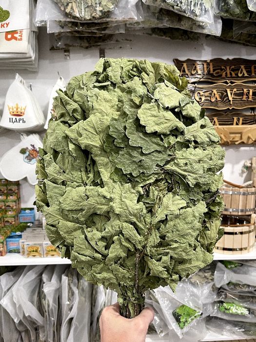 ВЕНИКИ ДЛЯ БАНИ! Лучшие веники для бодрящего пара!