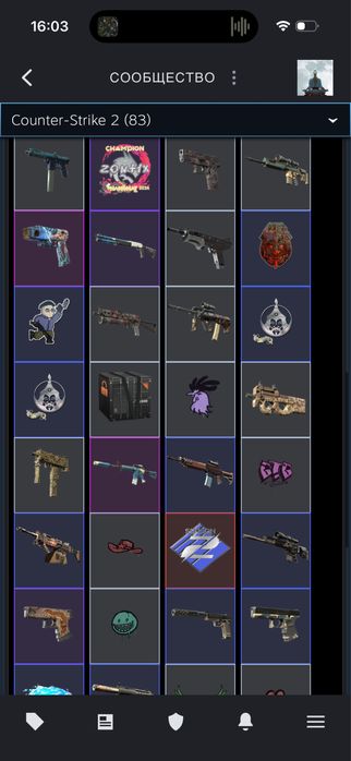 CS 2 с инвентарем