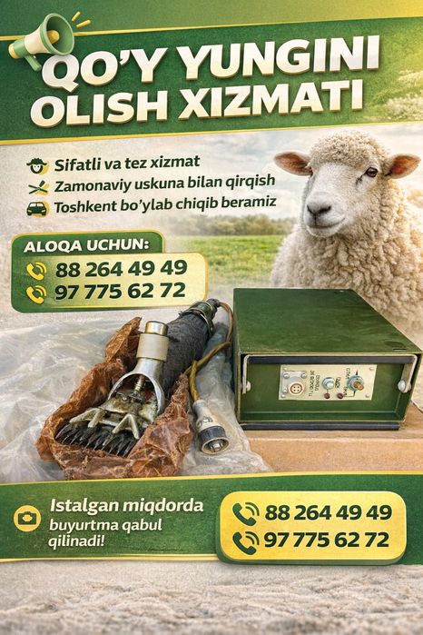 Qoʻy yungini olish xizmati kelishilgan narxda