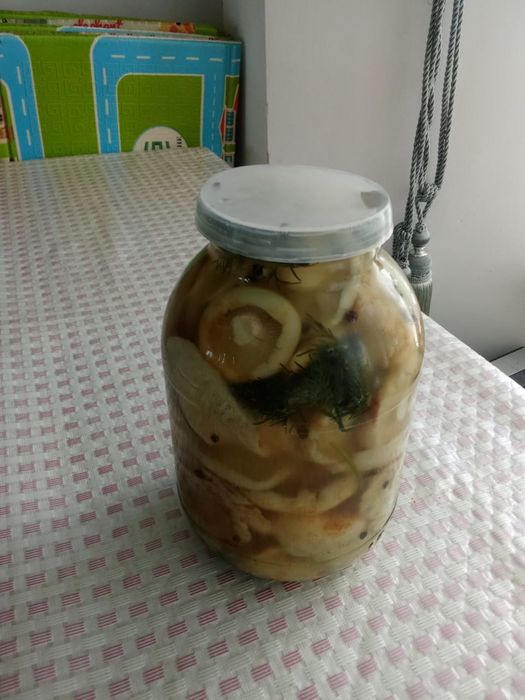 Соленые грибы(грузди)