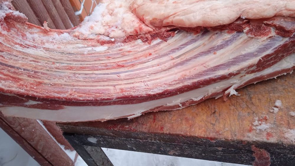 Мясо конины достовка бесплотна