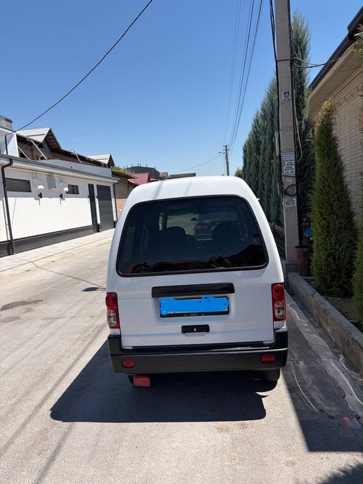 Damas -2024yil , gazi bor