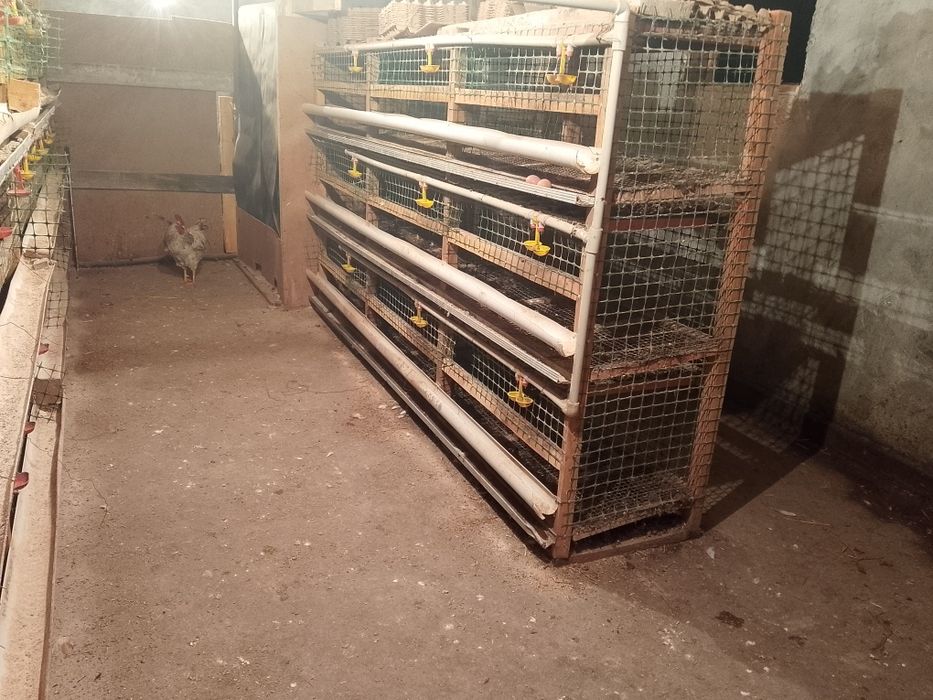 Клетка для куры 3 штук