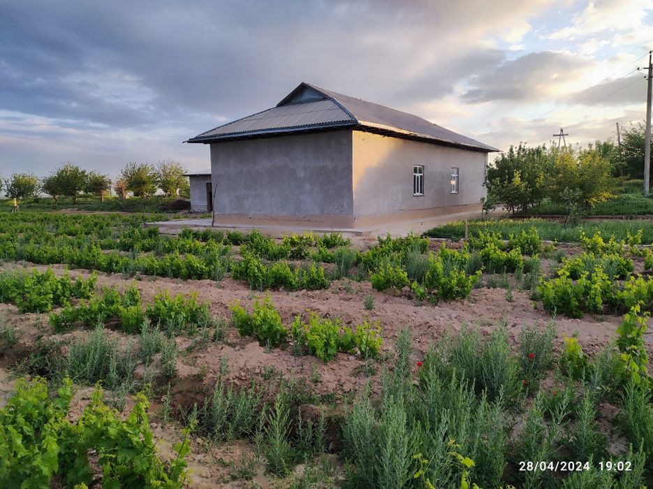 Uy joy sotiladi, 50 sotix