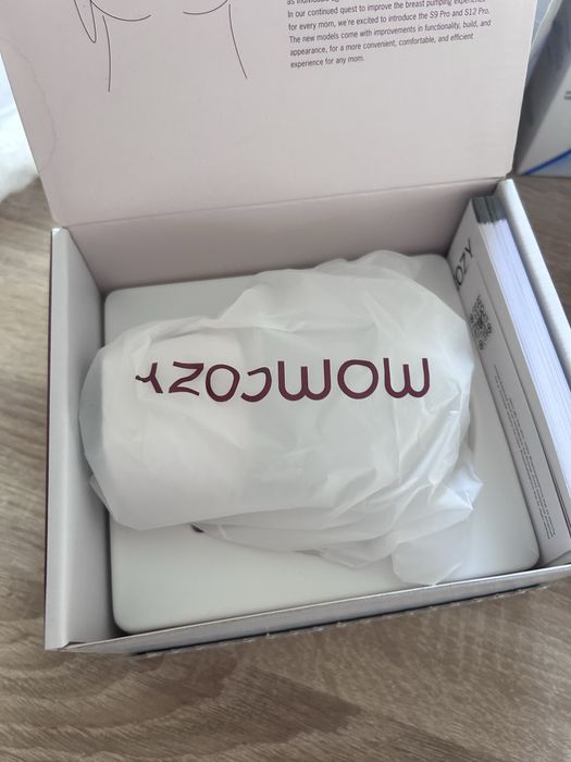 Pompa de san momcozy