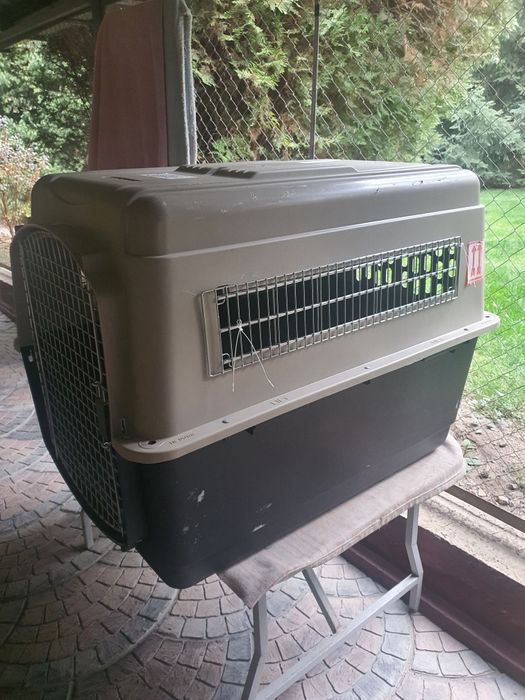 Авиабокс для собак