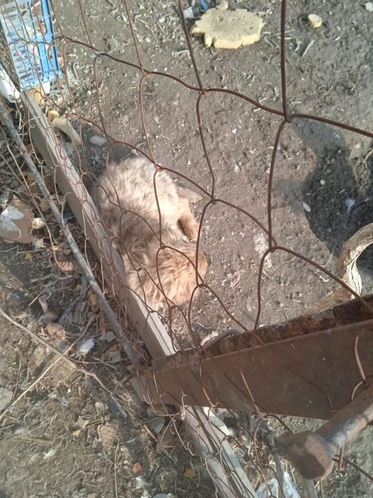 Всем привет . Срочно отдам.