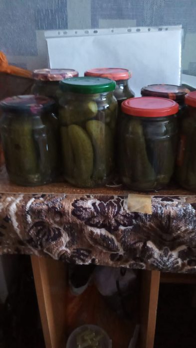 Малина вишня огурцы