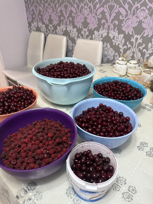 Свежая домашняя вишня