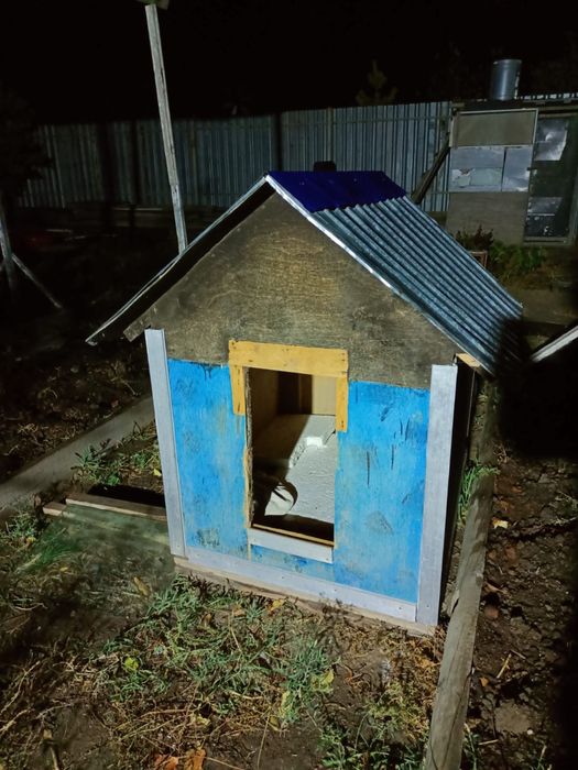 Собачья будка. 10000 тг.