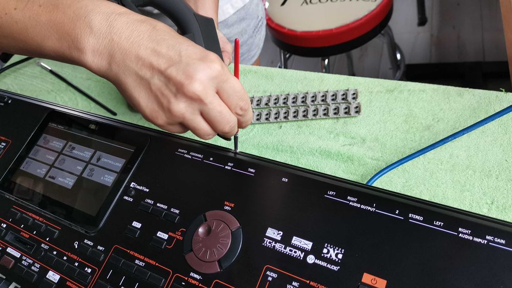 Service Igienizare/Estetizare/Mentenanta Clapa Korg Pa2x/Pa3x/Pa4x/Pa5