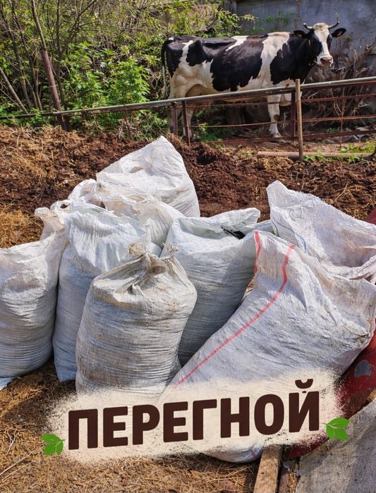 Продам хороший перегной