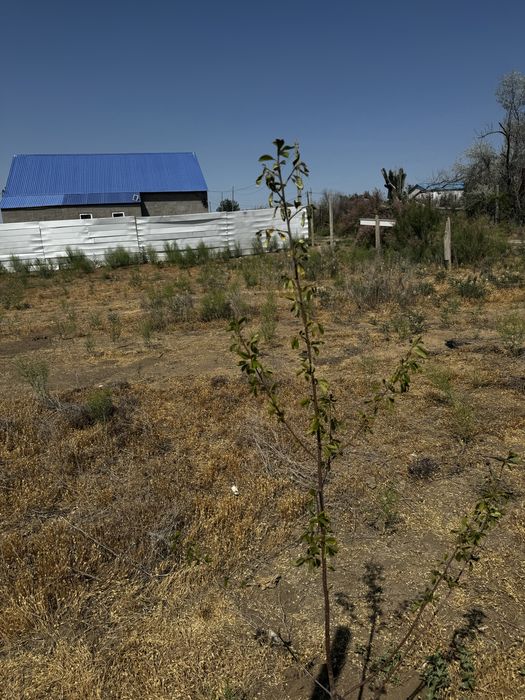 Дача в мкрн. Коктем