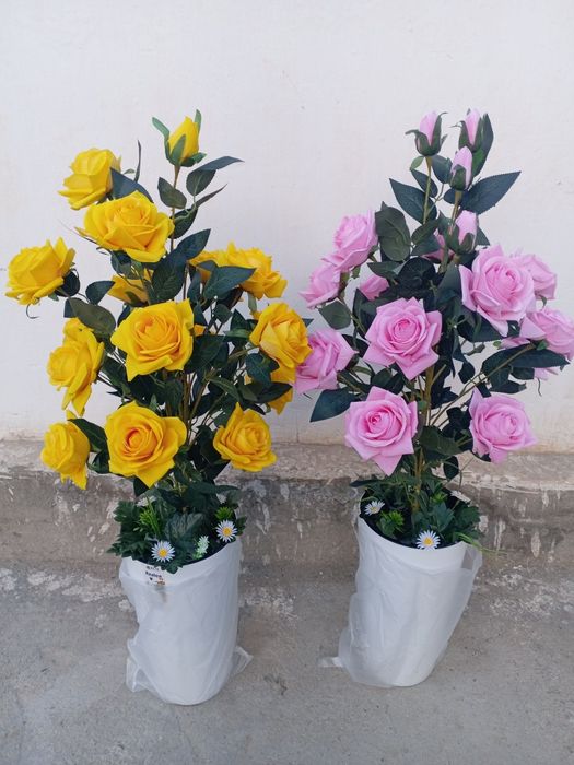 Суний ва декоротив гуллар 80мингдан бошлаб