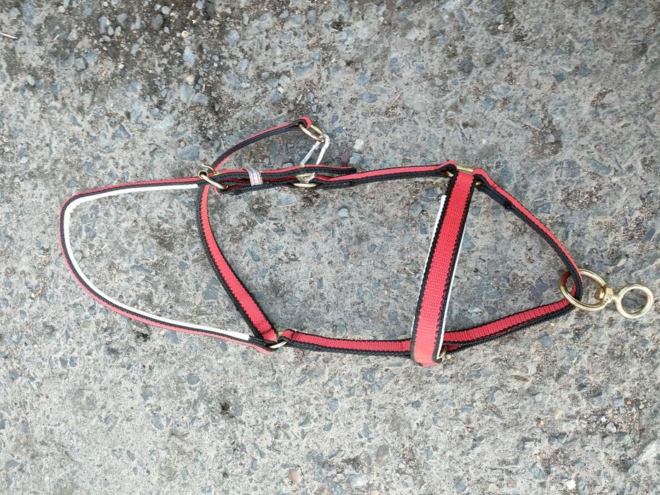 Продам новый недоуздок для жеребят