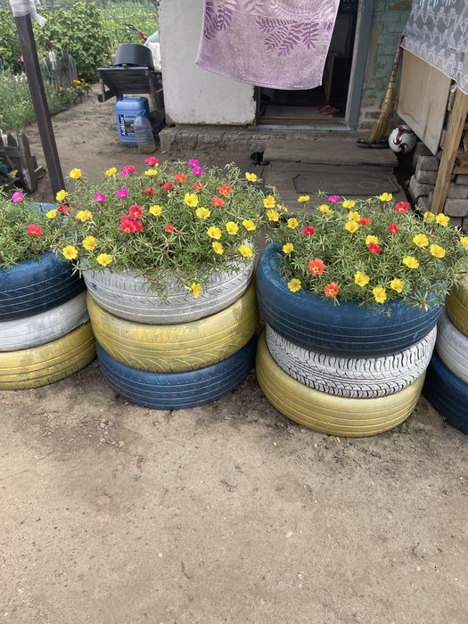 Продам дачу Сад Северный