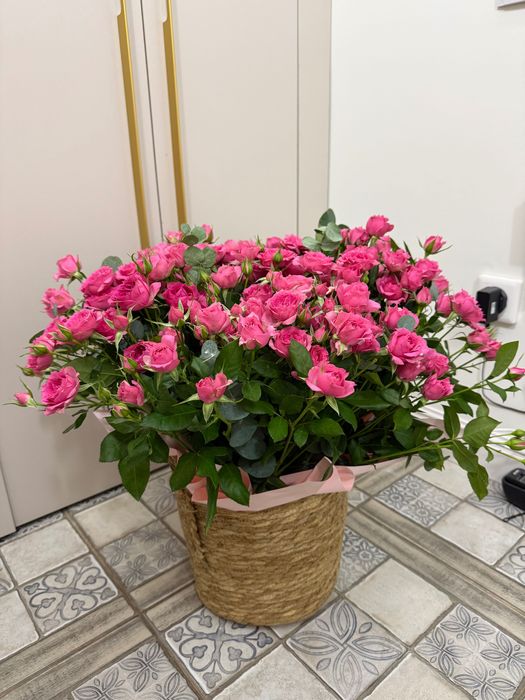Продаю цветы срочно