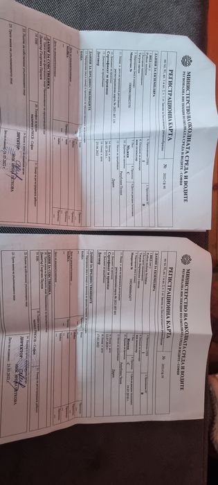 Бирмански и тигров питон