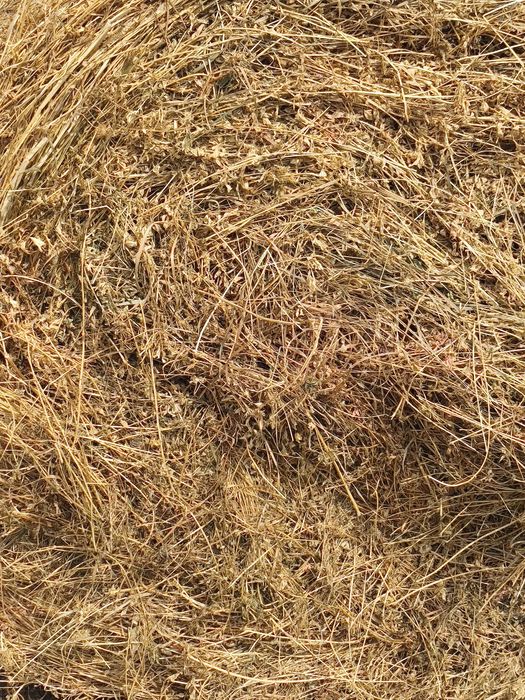 Baloți lucerna 120x120