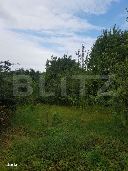 Teren 2.500 mp, Șos. Barnova, la 1 km de Șos. Bucium
