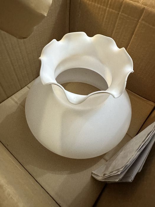 Lustra suspendata alba