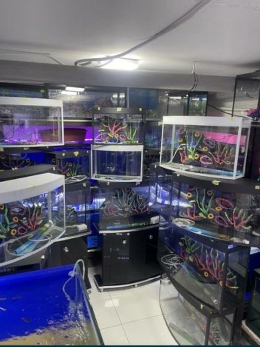 Akvarium 20Litr 30 Litr 50 litr Yengi