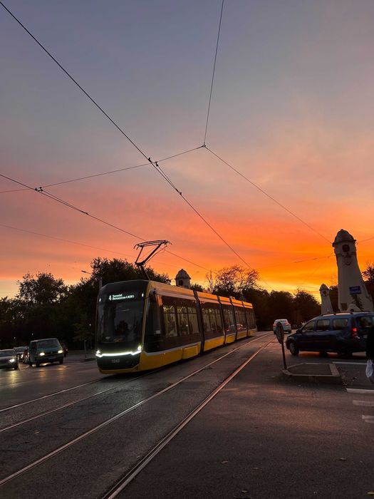 Apartament de inchiriat 3 camere Medicina/Isho