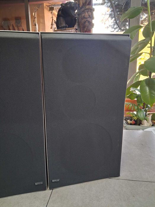 Boxe Bang&Olufsen BeoVox S45-2