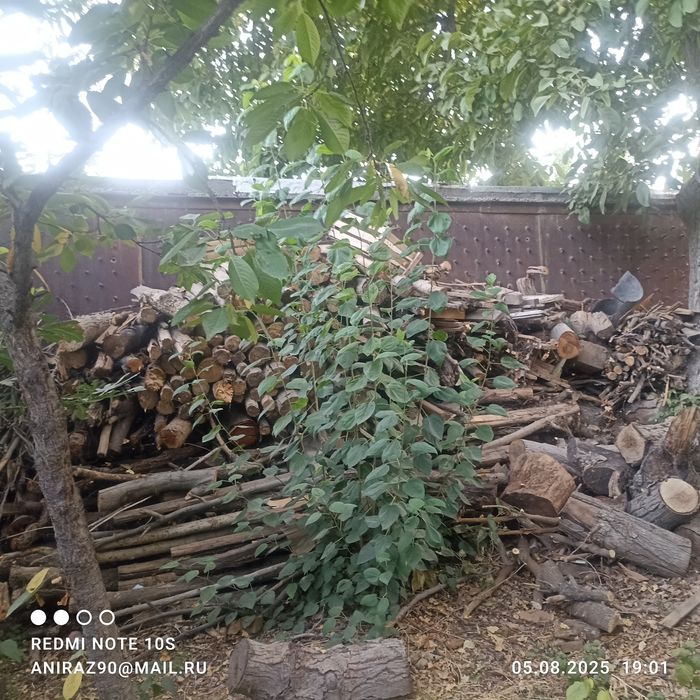 Утин сотилади хар хил дарахтлардан. Урик, ёнгок, гилос итд. Бир зил