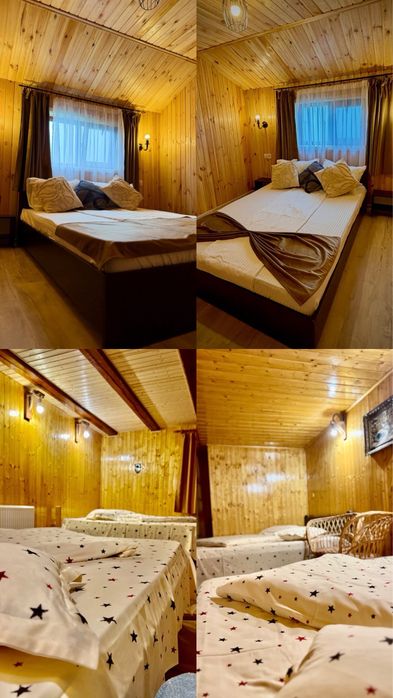 Cabană de închiriat/ Casă de vacanță AVI HOUSE Valea Avrigului.